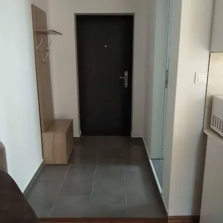 Студио 